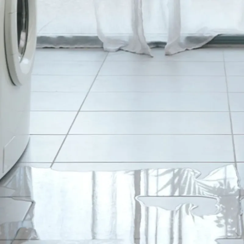 Appliance Leak Cleanup in Marathon, FL