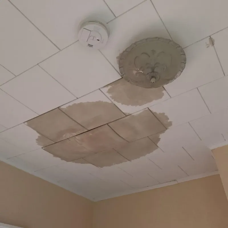 Ceiling Water Damage Repair in Marathon, FL